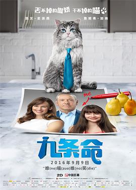 免播放器看av
